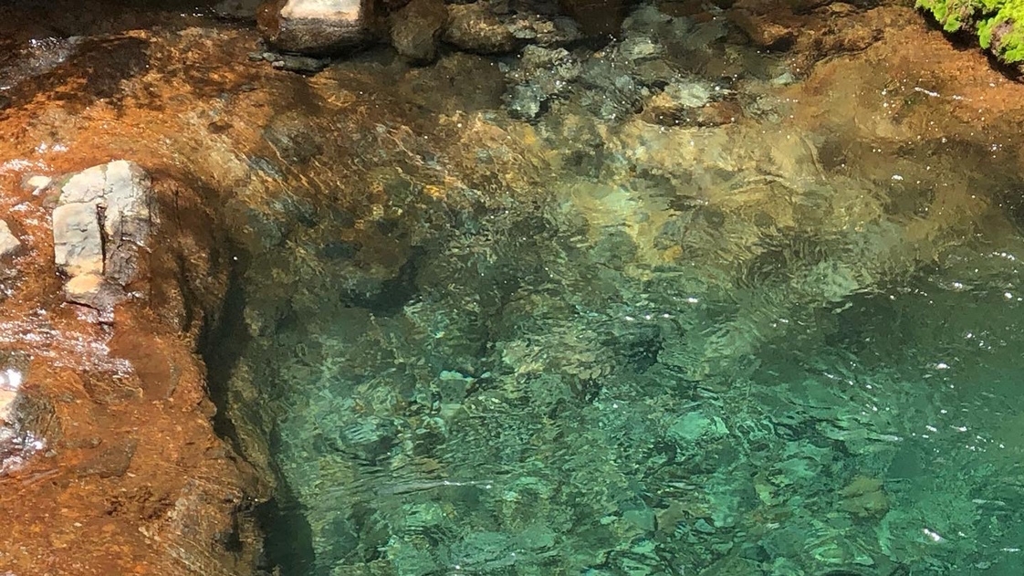 【10％OFF】【楽天スーパーSALE】2食付◆秘湯という名の歴史に浸かる＆蓼科食材ご飯で癒しの休日