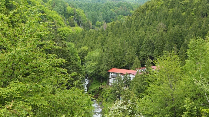 【何もしない湯治旅】奥蓼科の秘湯で滝と森に包まれて過ごす｜茅野産食材を使った山ごはん〈スタンダード〉