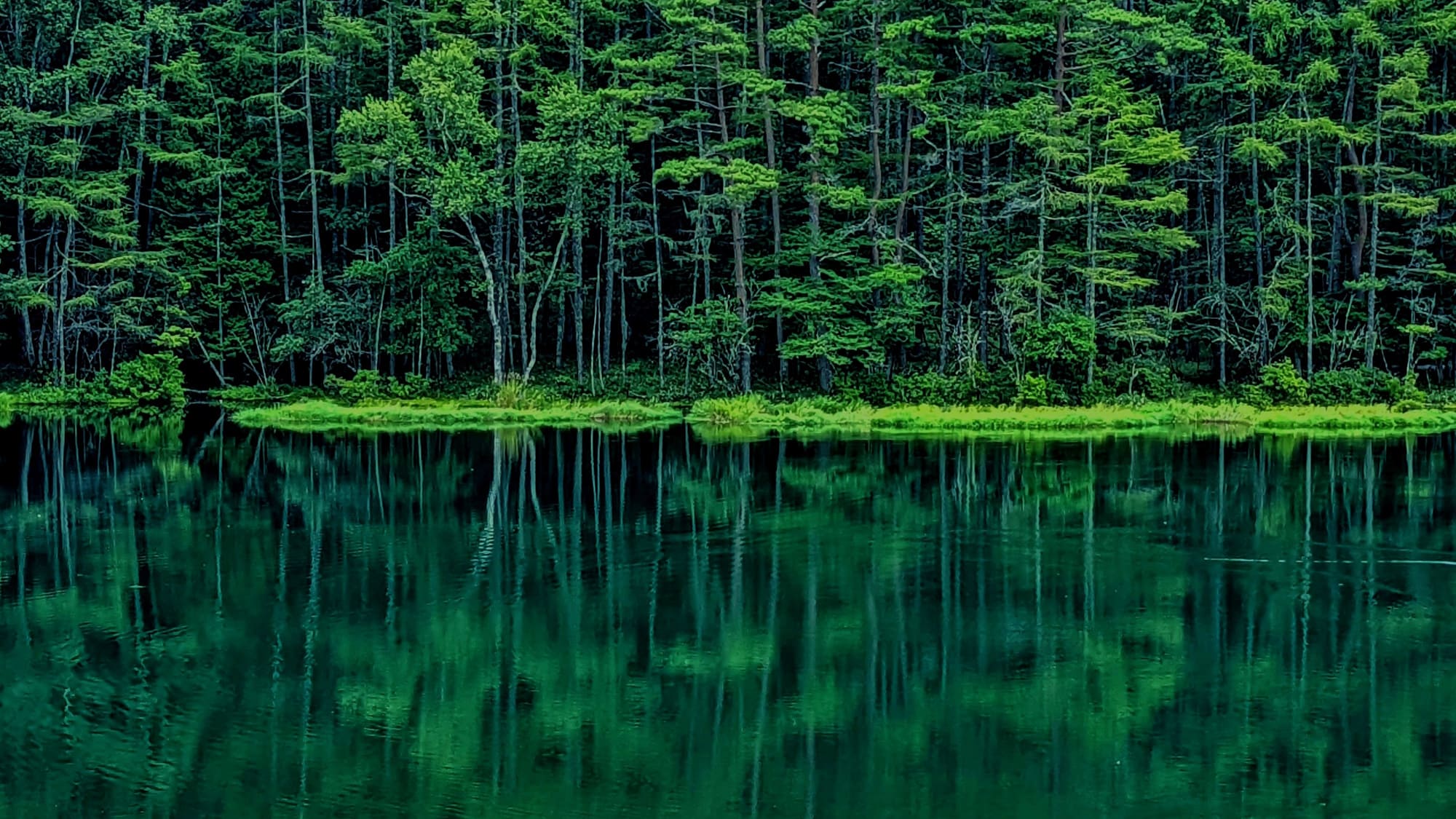 【自然・観光】御射鹿池