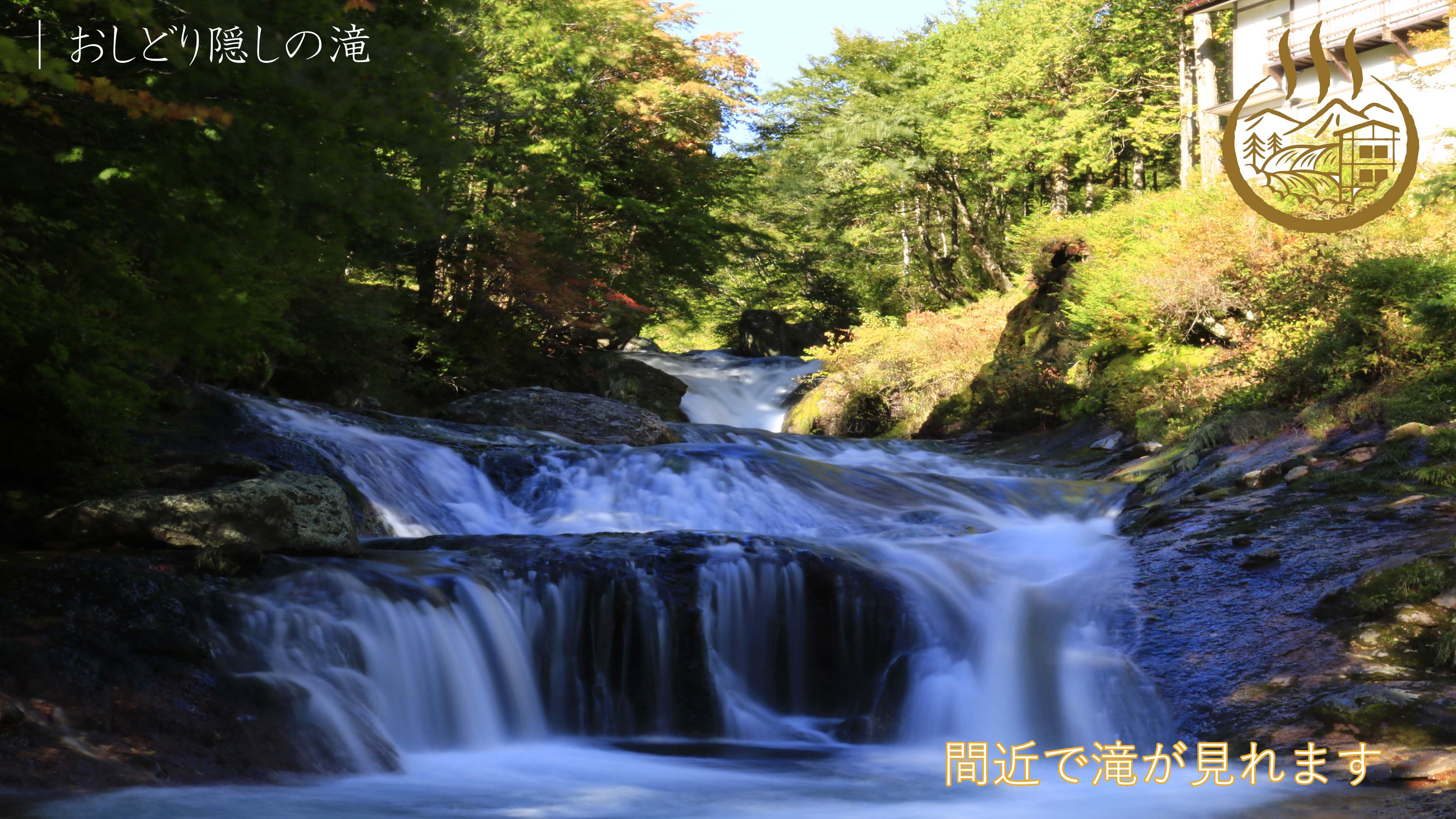 宿の横を流れるおしどり隠しの滝_text
