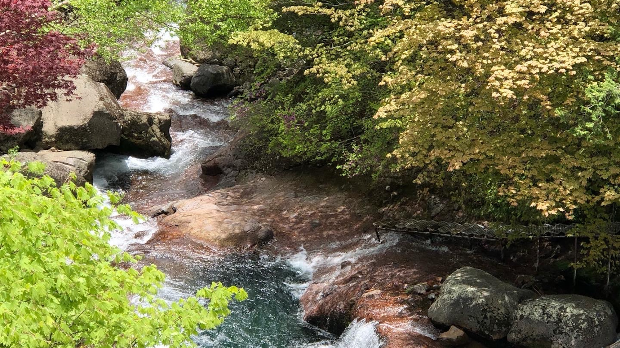 【自然・観光】館内横を流れるおしどり隠しの滝