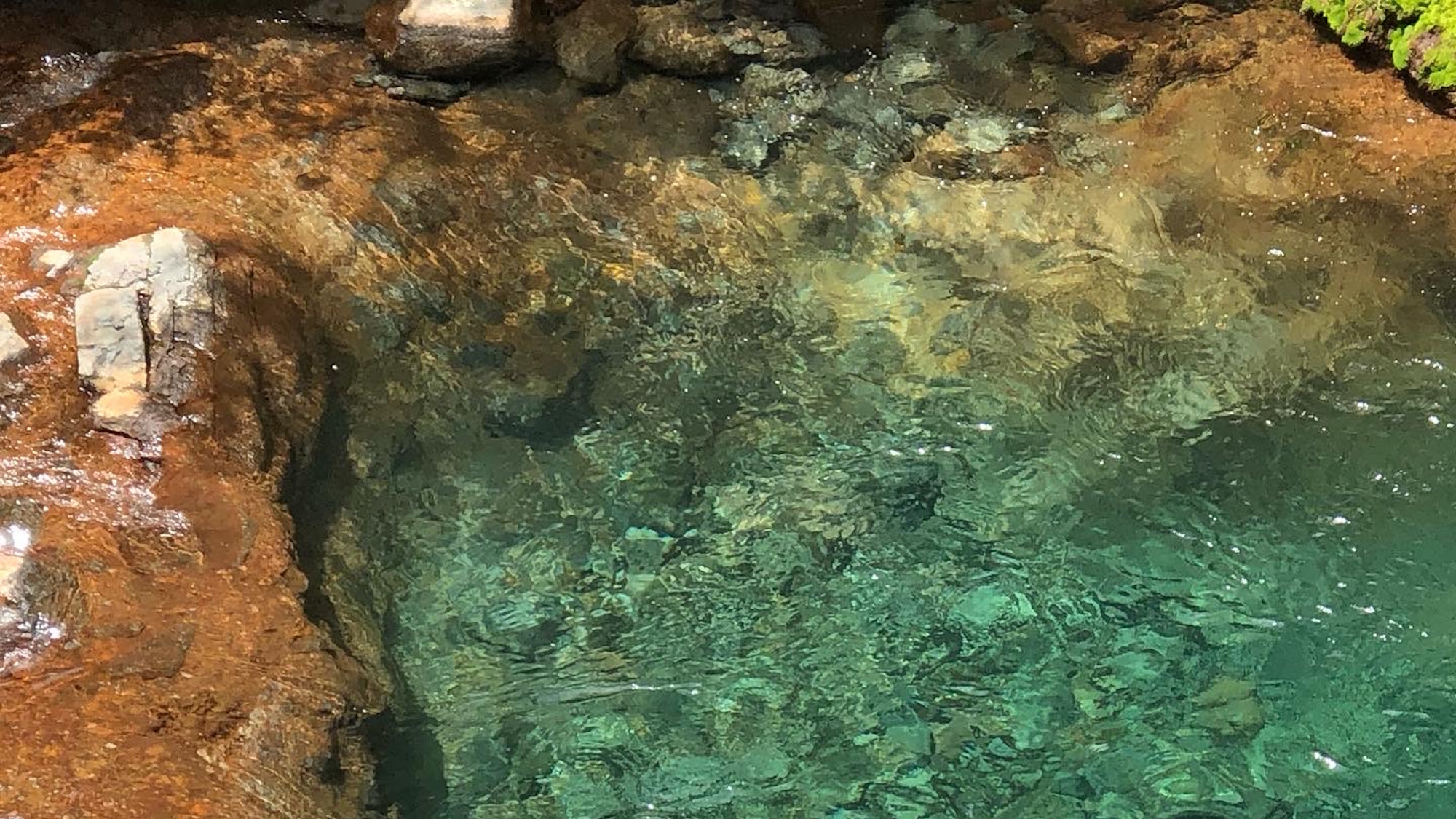 避暑地・蓼科の9月の平均気温は20℃　是非一度訪れてください。