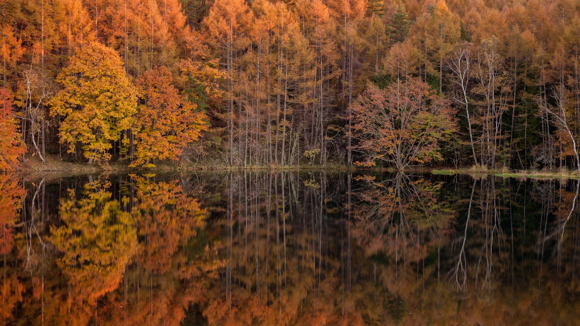【自然・観光】御射鹿池