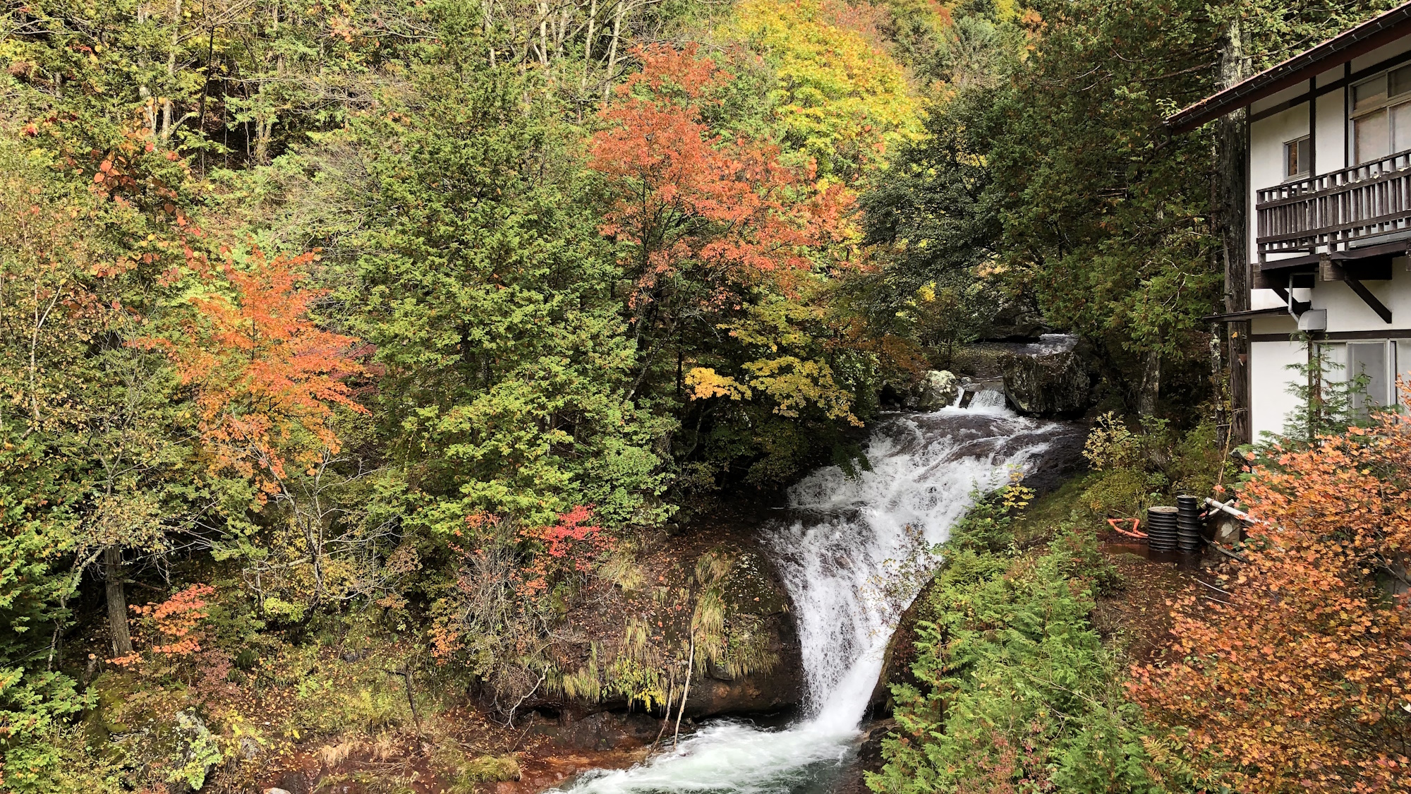 【自然・観光】おしどり隠しの滝は館内から見ることができます！