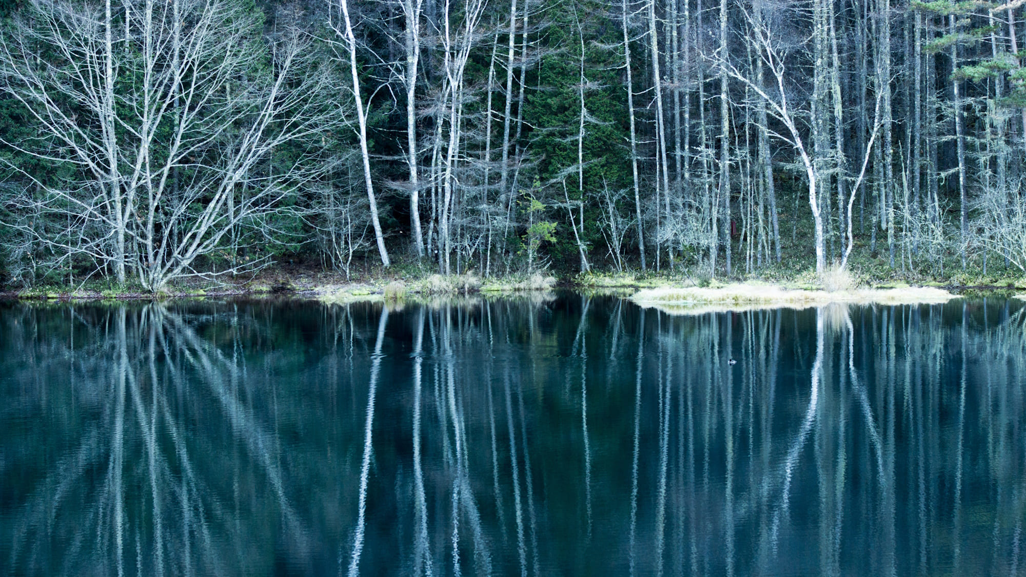 【自然・観光】御射鹿池