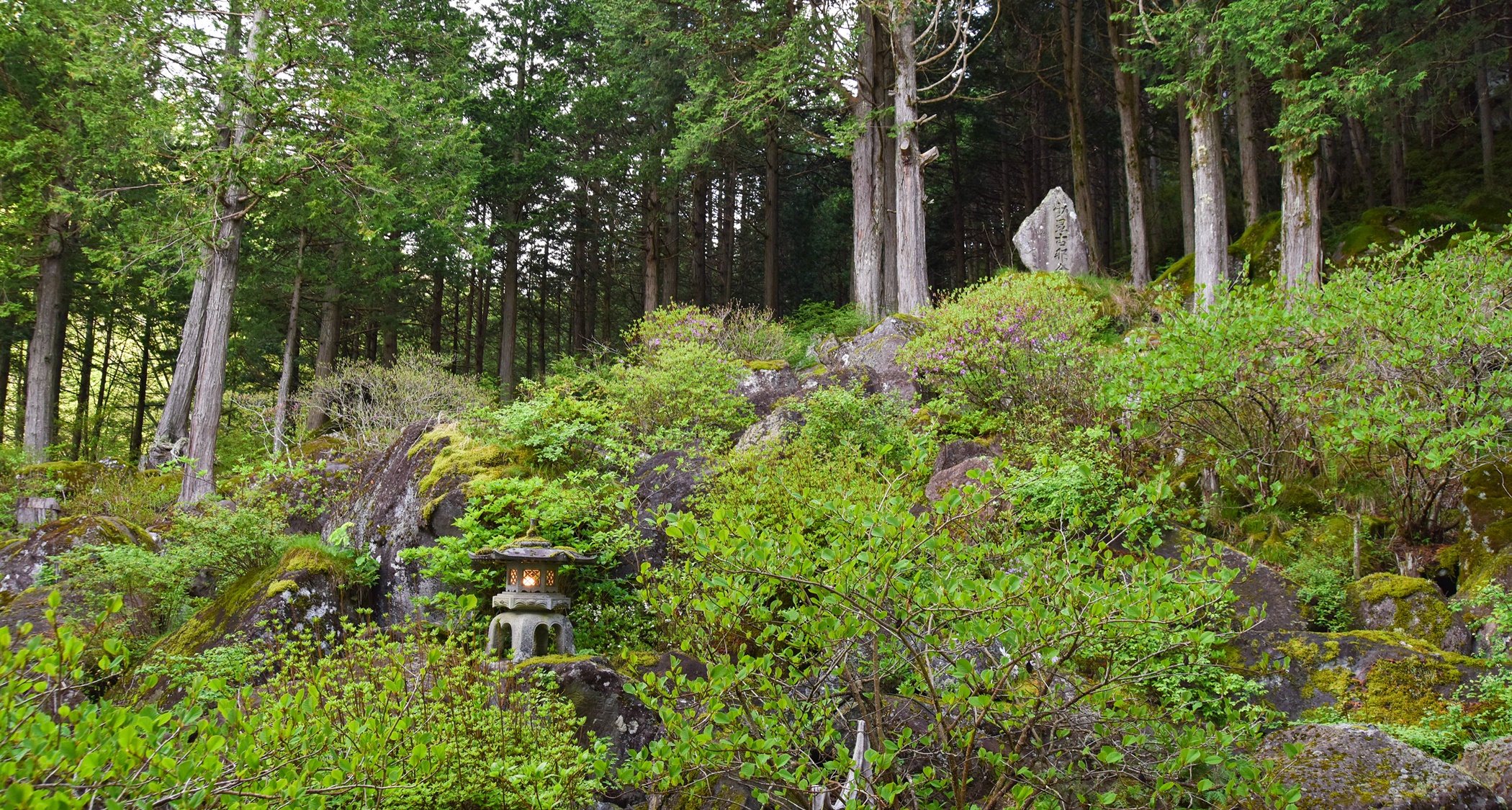 *【中庭】130万年前に噴出した溶岩石がゴロゴロと積み重なり、苔や緑の木々に彩られています。