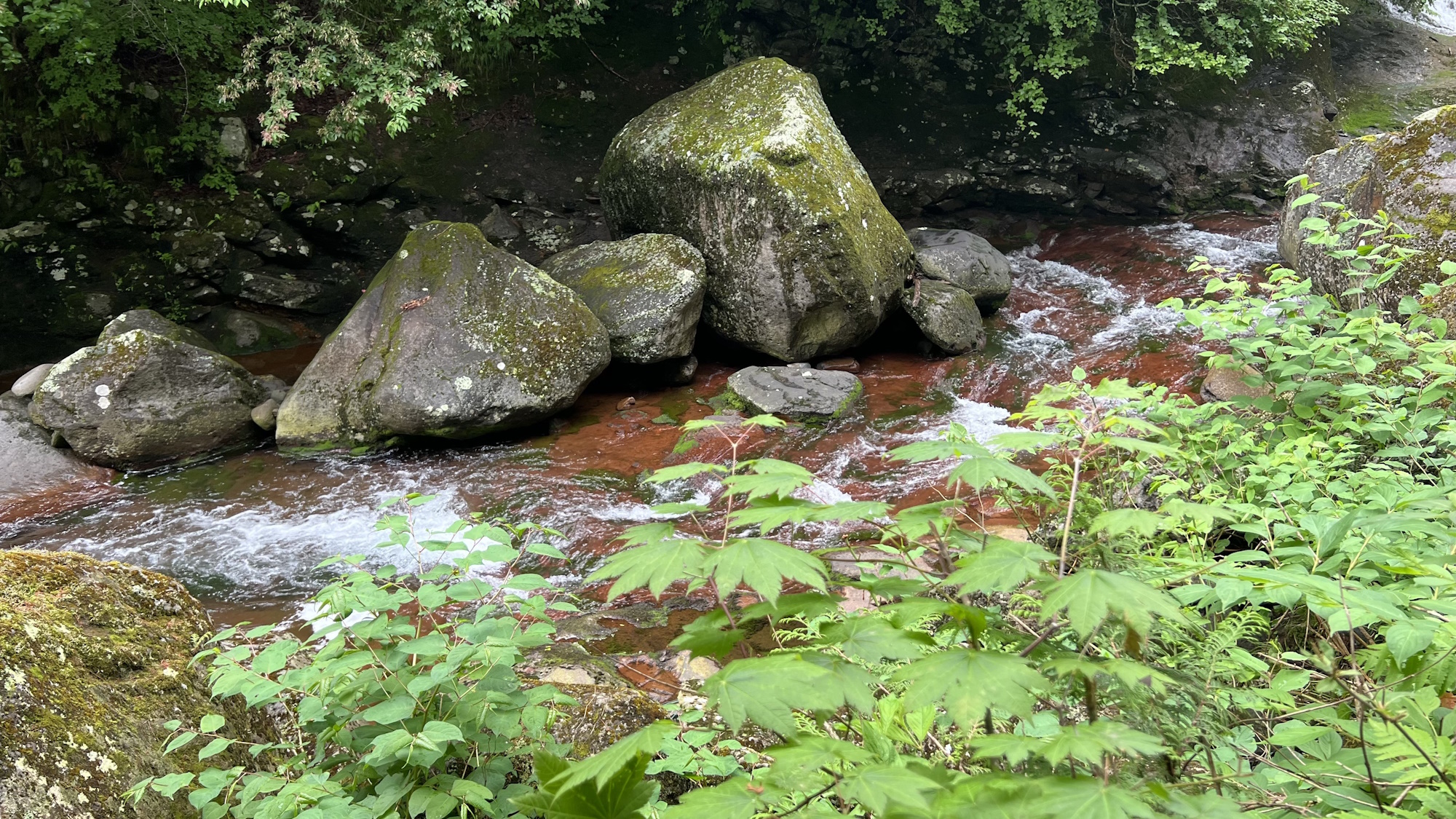 【周辺観光】おしどり隠しの滝