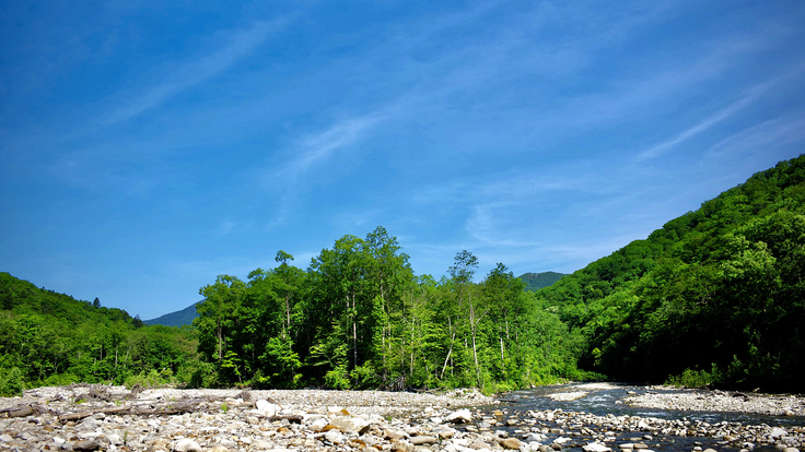 【2024年9月新客室OPEN記念】＜素泊まり＞あたらしい哲学に出会う旅へ