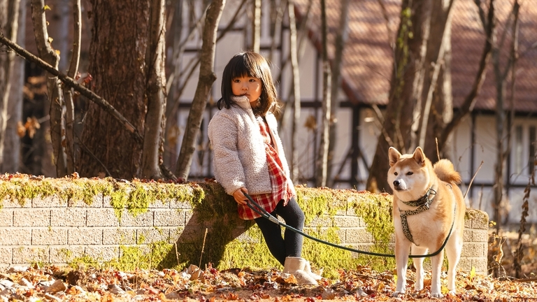 ＼小学生以下室料無料！／【自然×動物とのふれあい】楽しさいっぱい♪自然体験＜2食付／BBQ・極＞