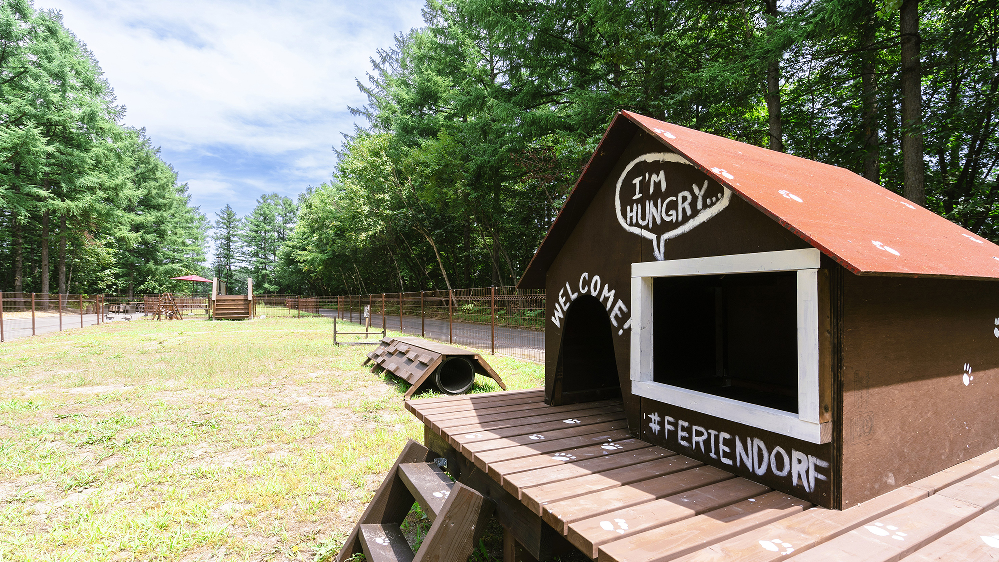 広さ800㎡の大型ドッグランには、平均台やハードルなどのアジリティ遊具やおしゃれなフォトスポット完備