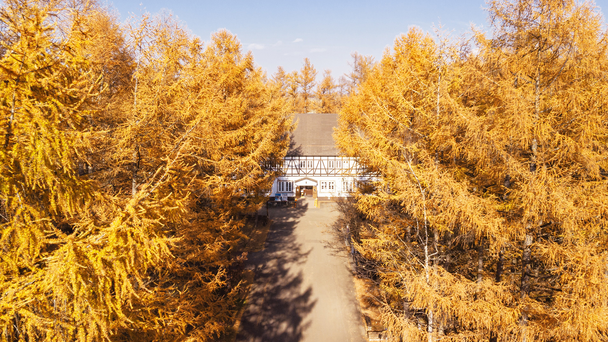【フェーリエンドルフ】木々が色めく秋。フェーリエンドルフの森では動物たちが楽しそうに森を駆け巡ります