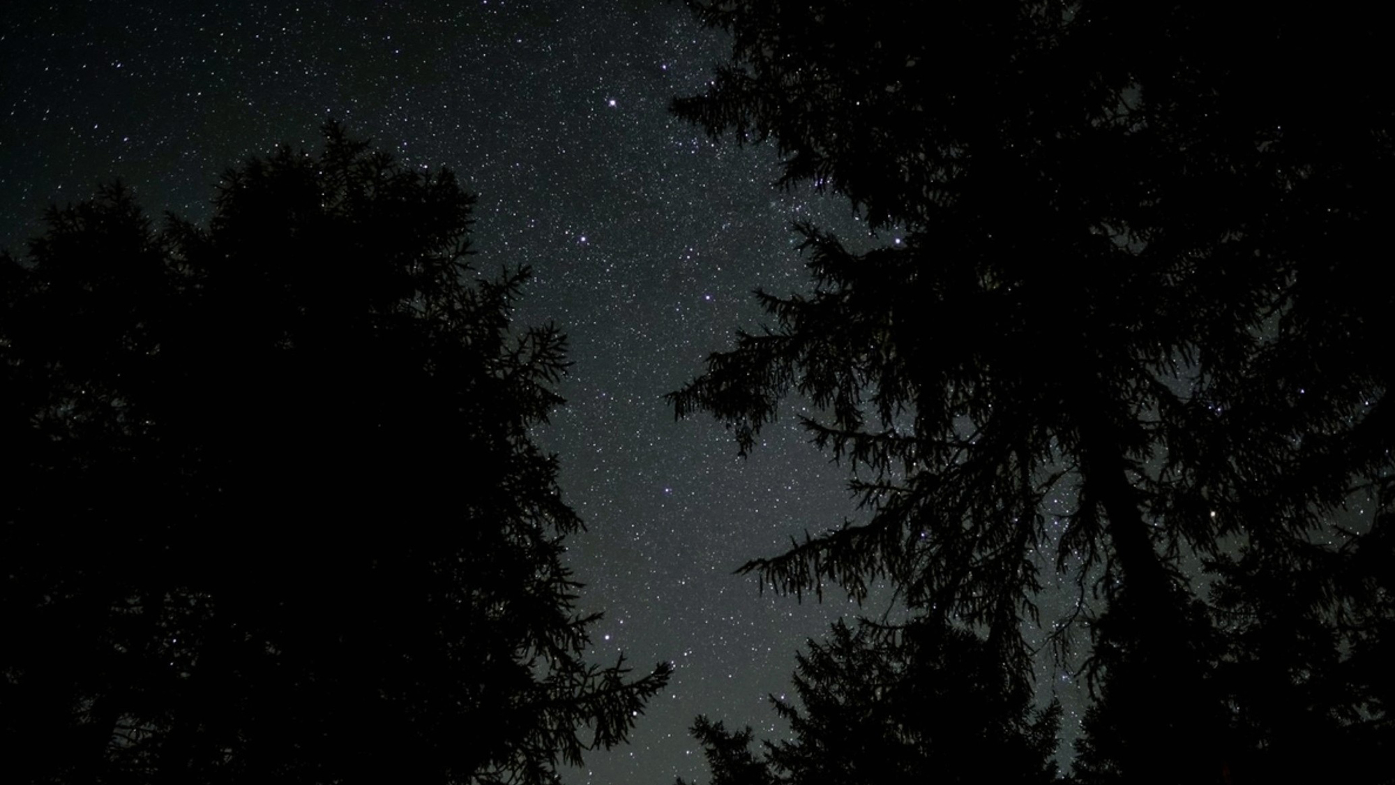 空を見上げれば、満天の星。普段見る事ができない光景に思わず感動――。