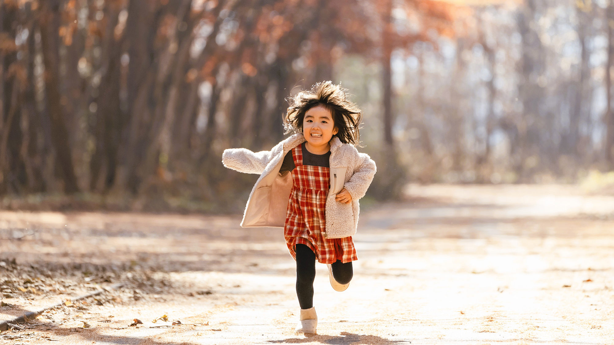 広大な敷地には休憩にもピッタリ