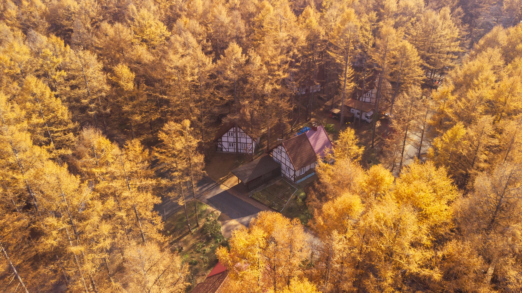 【フェーリエンドルフ】秋の風景