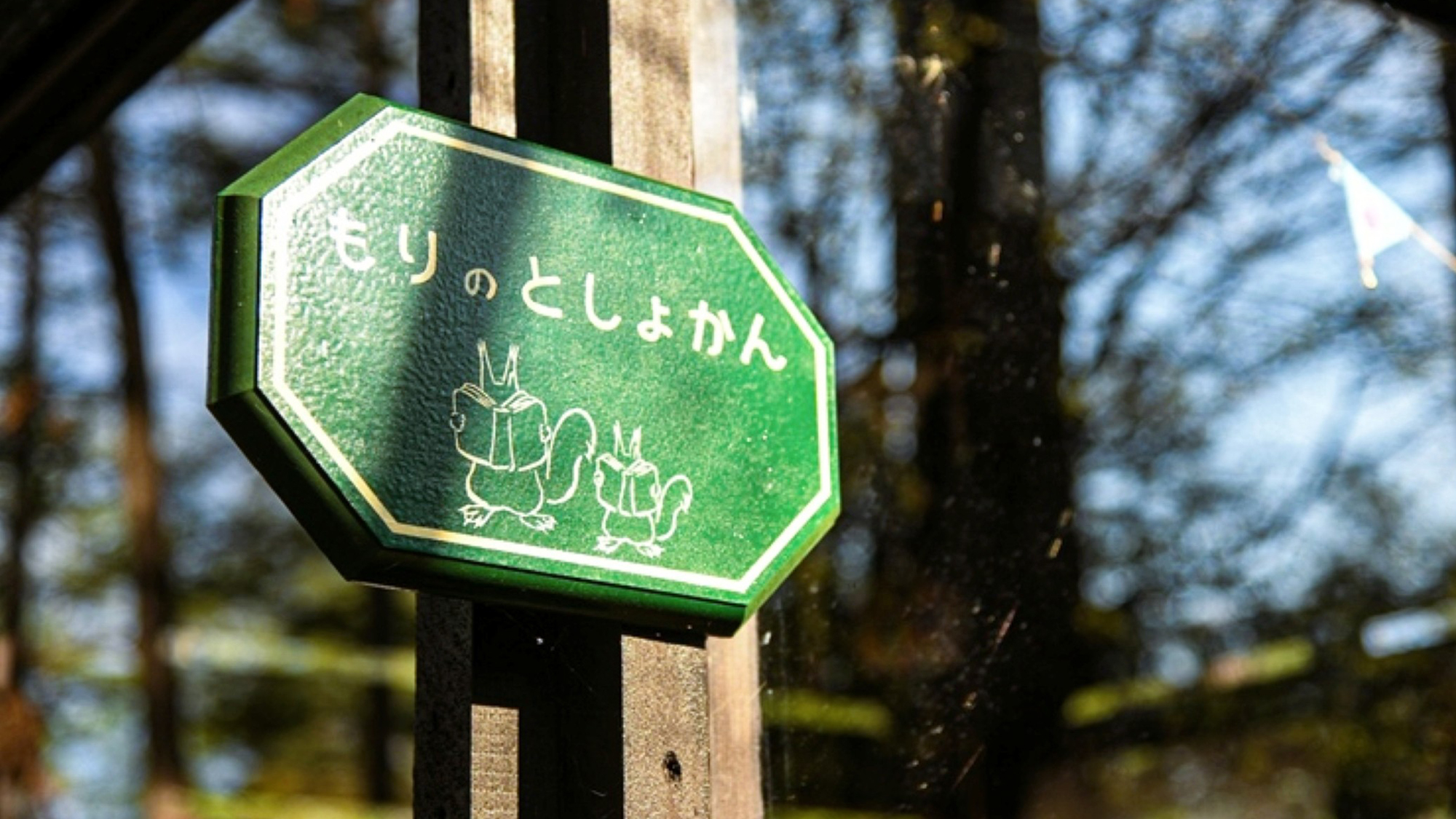 大自然の中の静かな「森の図書館」