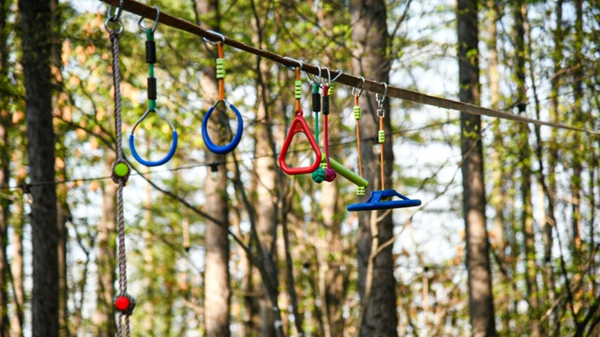 お子様ワクワク♪遊具を備えた「こどもの森」