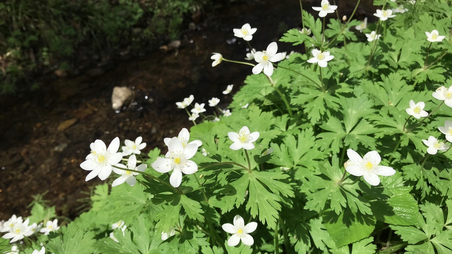 【素泊まり】時間気にせず自由に観光♪釣り・登山・スキーなどアクティビティの拠点にも！