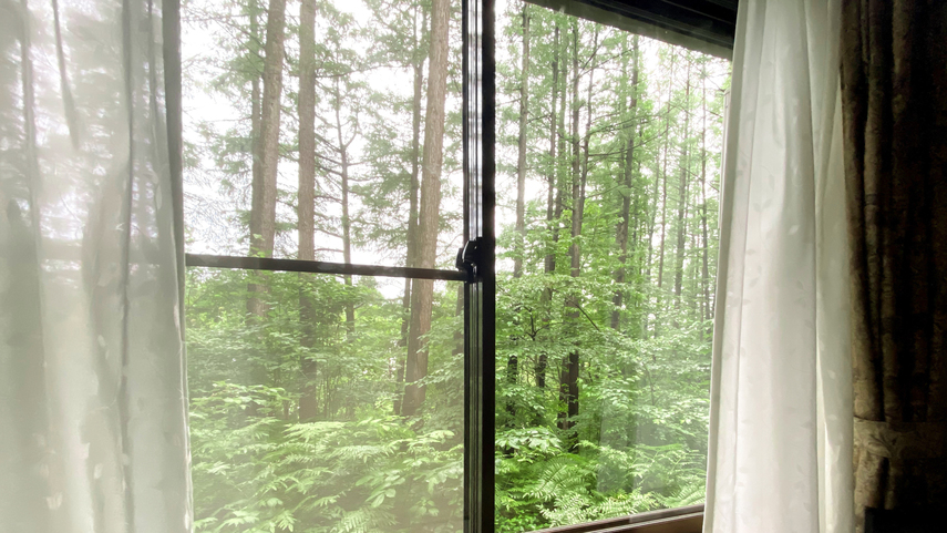 *客室からの景色（初夏）/爽やかな風吹く、瑞々しい緑の中でお過ごしください。