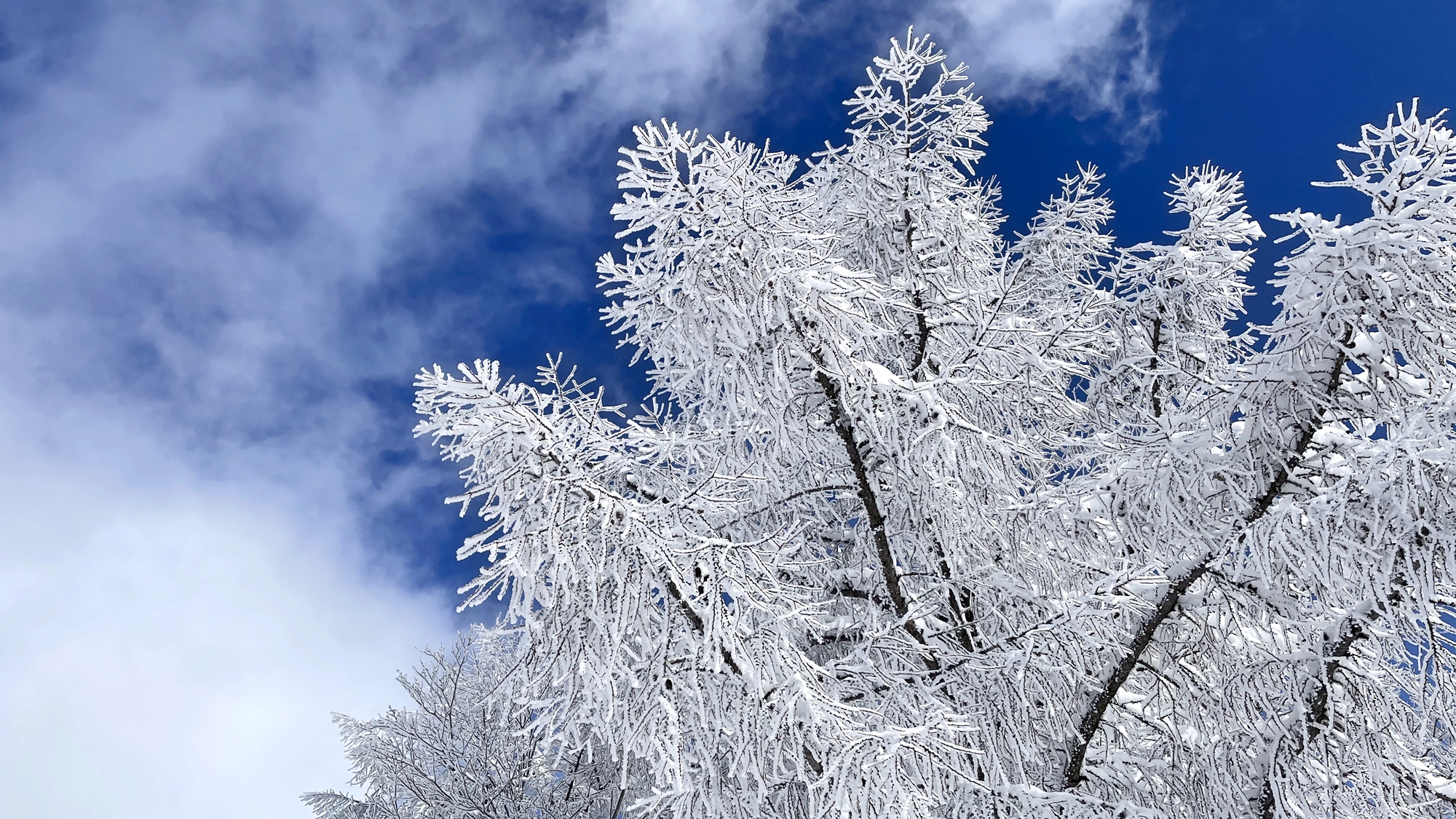 *周辺（冬の斑尾）/冬の長野には降り積もる雪によるとても静かな風情があります