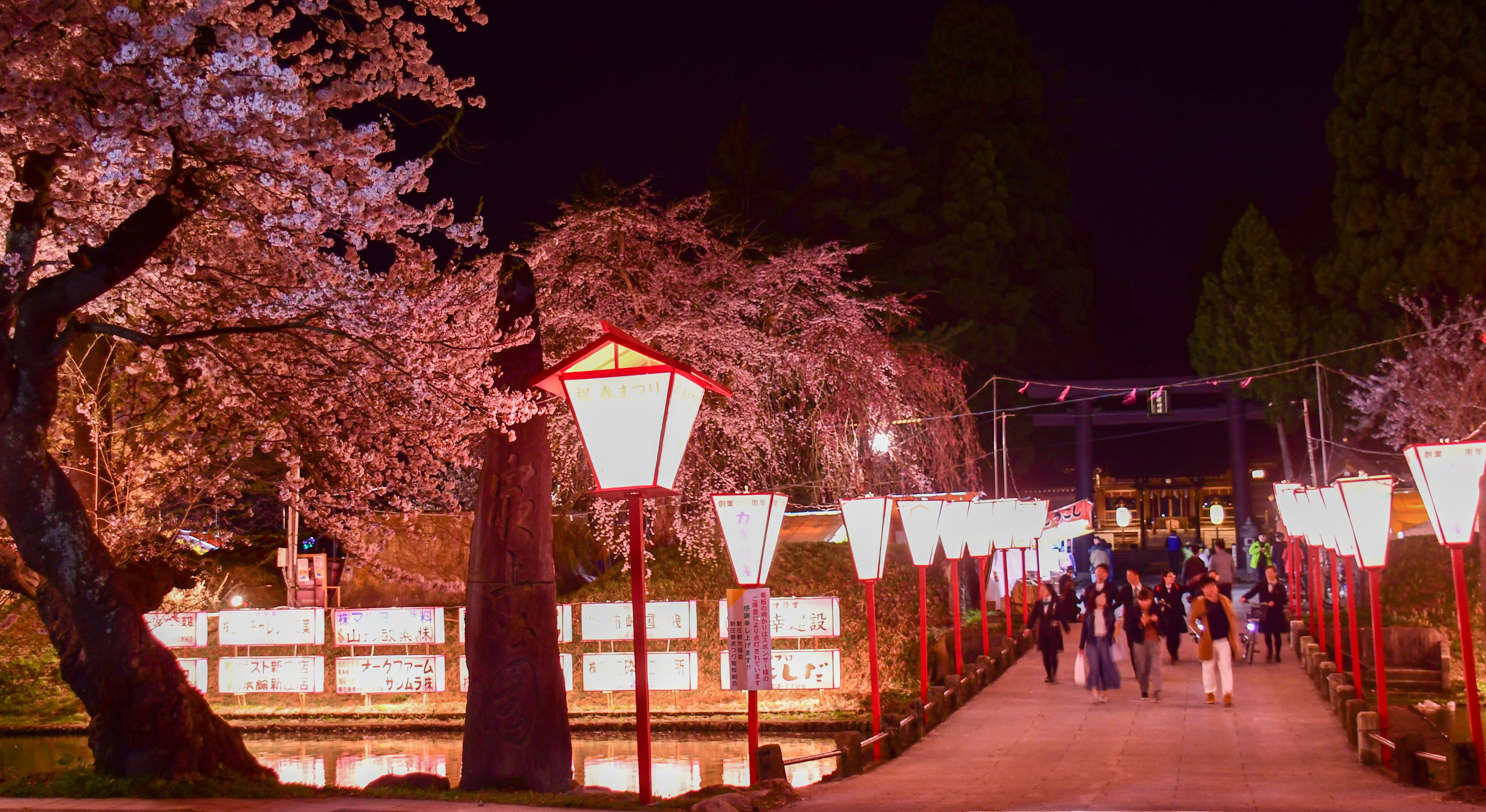 【最上公園】夜桜～