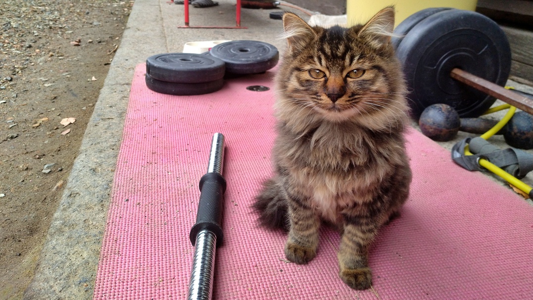 《素泊/連泊歓迎》全室Wi-Fi完備☆自然に囲まれた土地で快適に宿泊