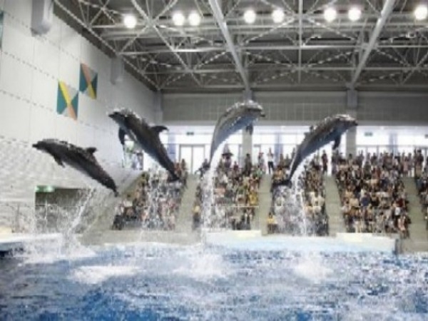 いおワールドかごしま水族館チケット付プラン