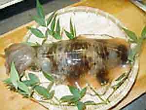 若狭湾の美味しいフグのフルコース・活魚・イカのお刺身付き豪華プラン[現金特価]