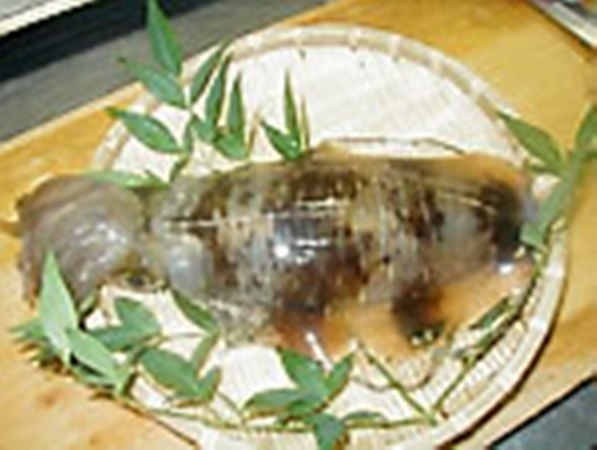 若狭湾の美味しいフグのフルコース・イカのお刺身付プラン[現金特価]