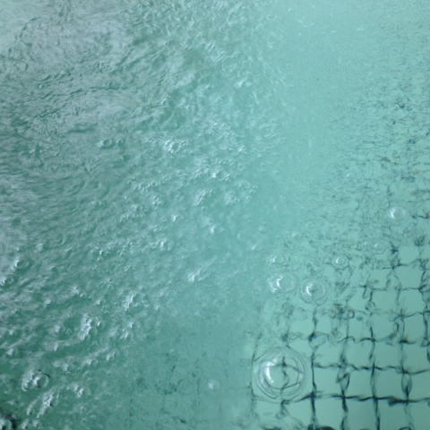 写真4