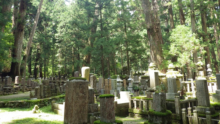 *【施設周辺】奥之院への参道には、樹齢千年をこえる老杉や歴史上有名な人々の墓も数多くございます。