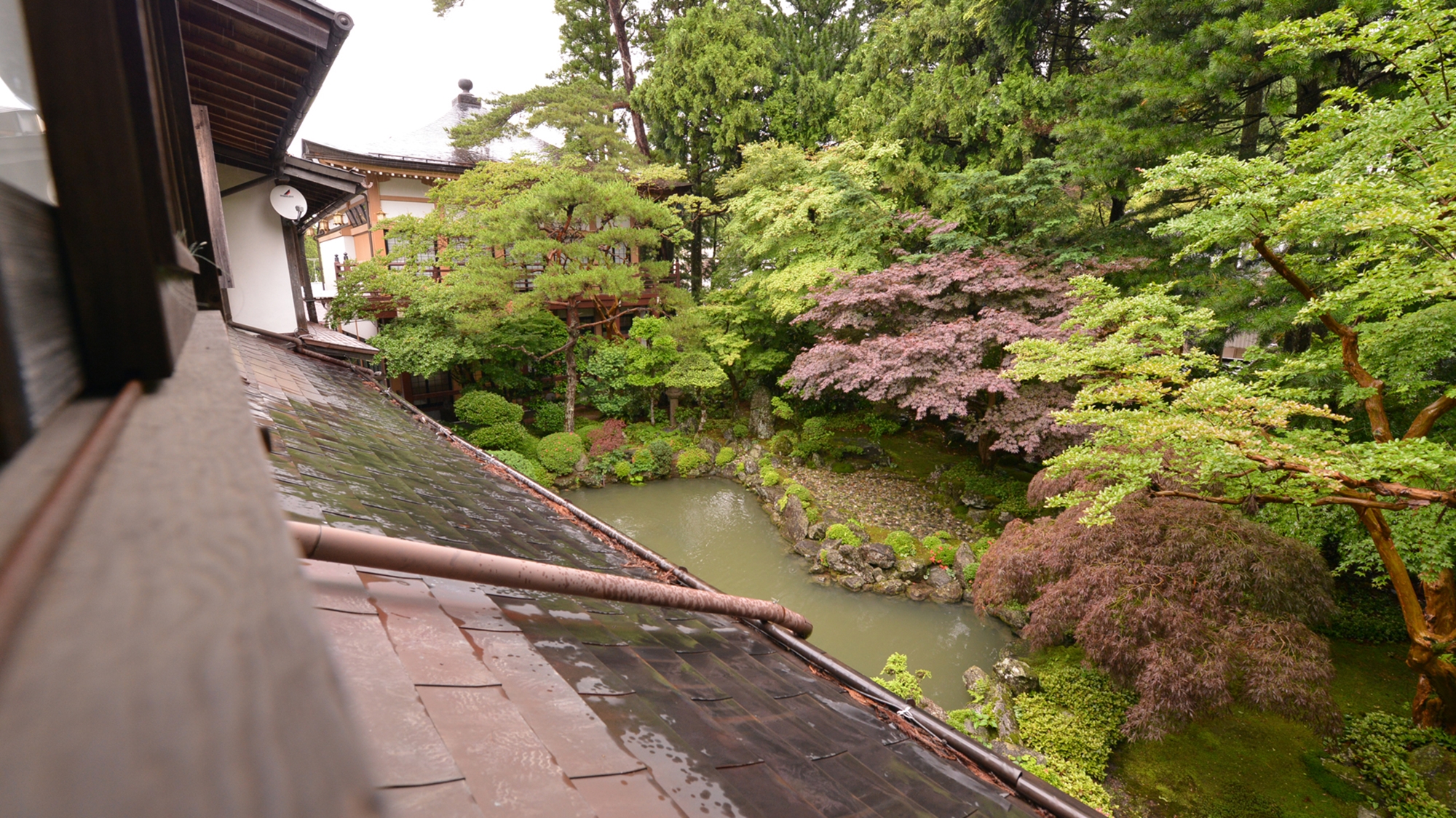 *【館内】庭園/小堀遠州作と伝えられる、鶴亀式枯山水の山内最古の庭園。ご興味のある方はぜひ。