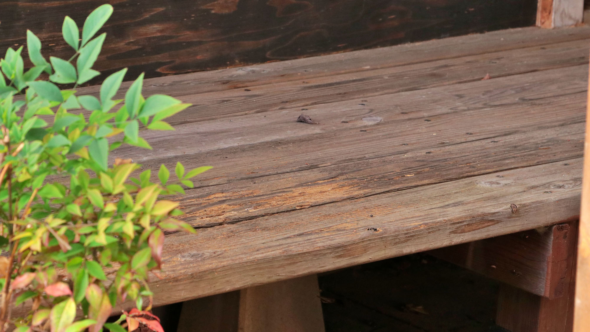 レトロな雰囲気を残す民宿です *