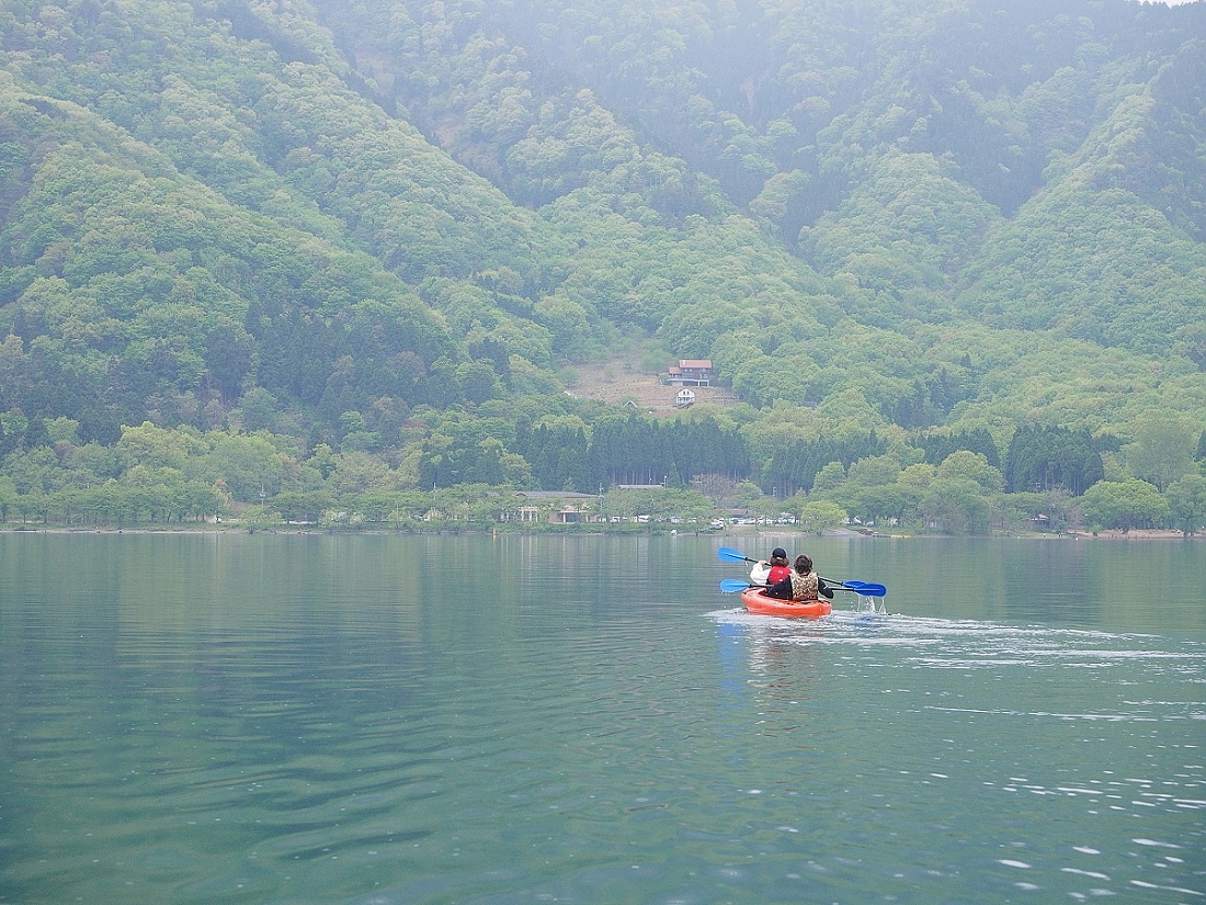 新緑の奥琵琶湖畔でカヌー体験ツアー（体験料金は別途必要）♪
