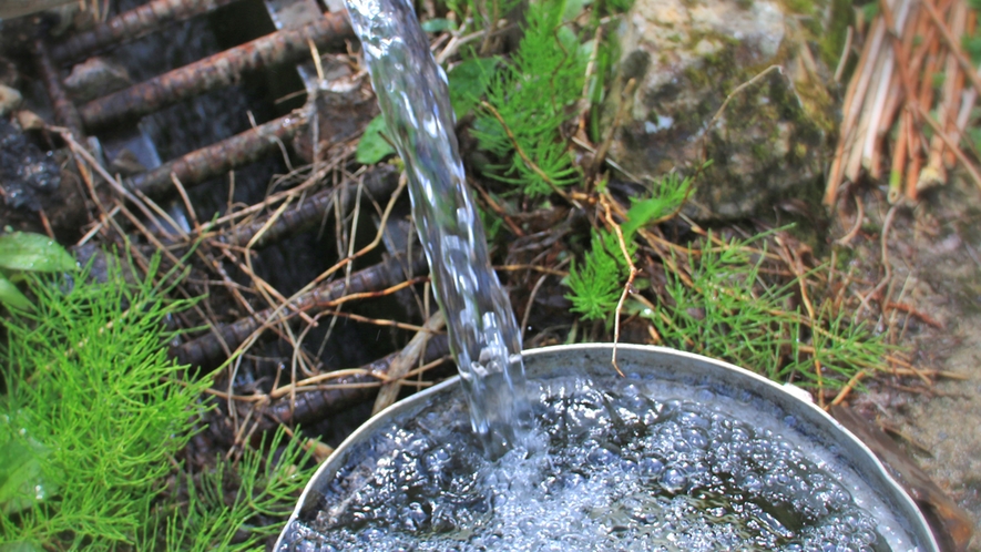 きれいな水と豊かな自然に囲まれたハチ北高原