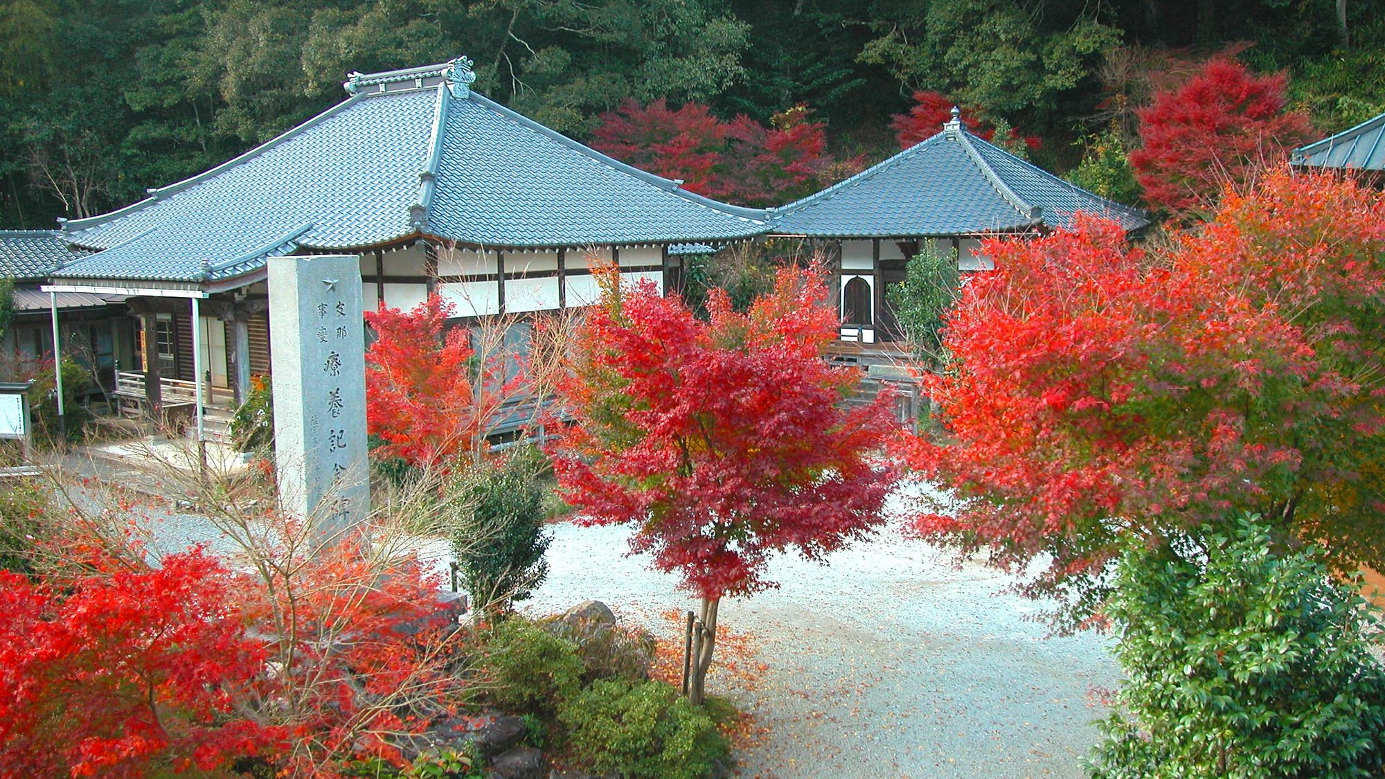 子宝の湯～善名寺