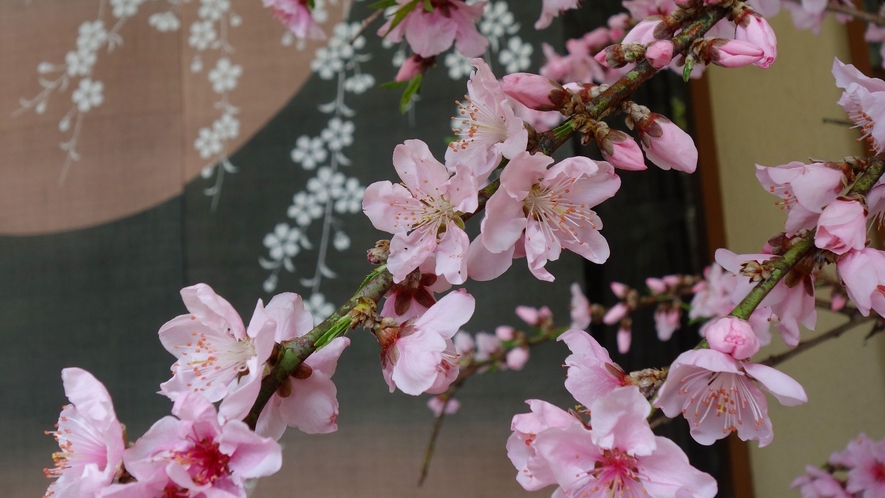 桜の暖簾