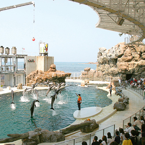 【城崎マリンワールド】イルカ・アシカショーが人気の体験型水族館（当館より車で約25分)