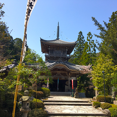 【如意寺】関西花の寺25ヶ所霊場、四季折々の花や300種の山野草が見所（当館より車で約10分)