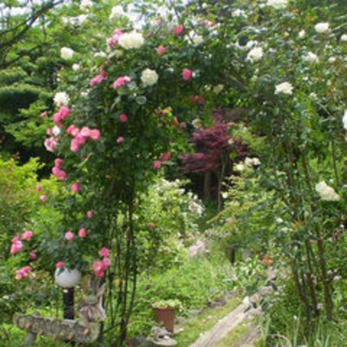 *庭にあるバラのアーチ
