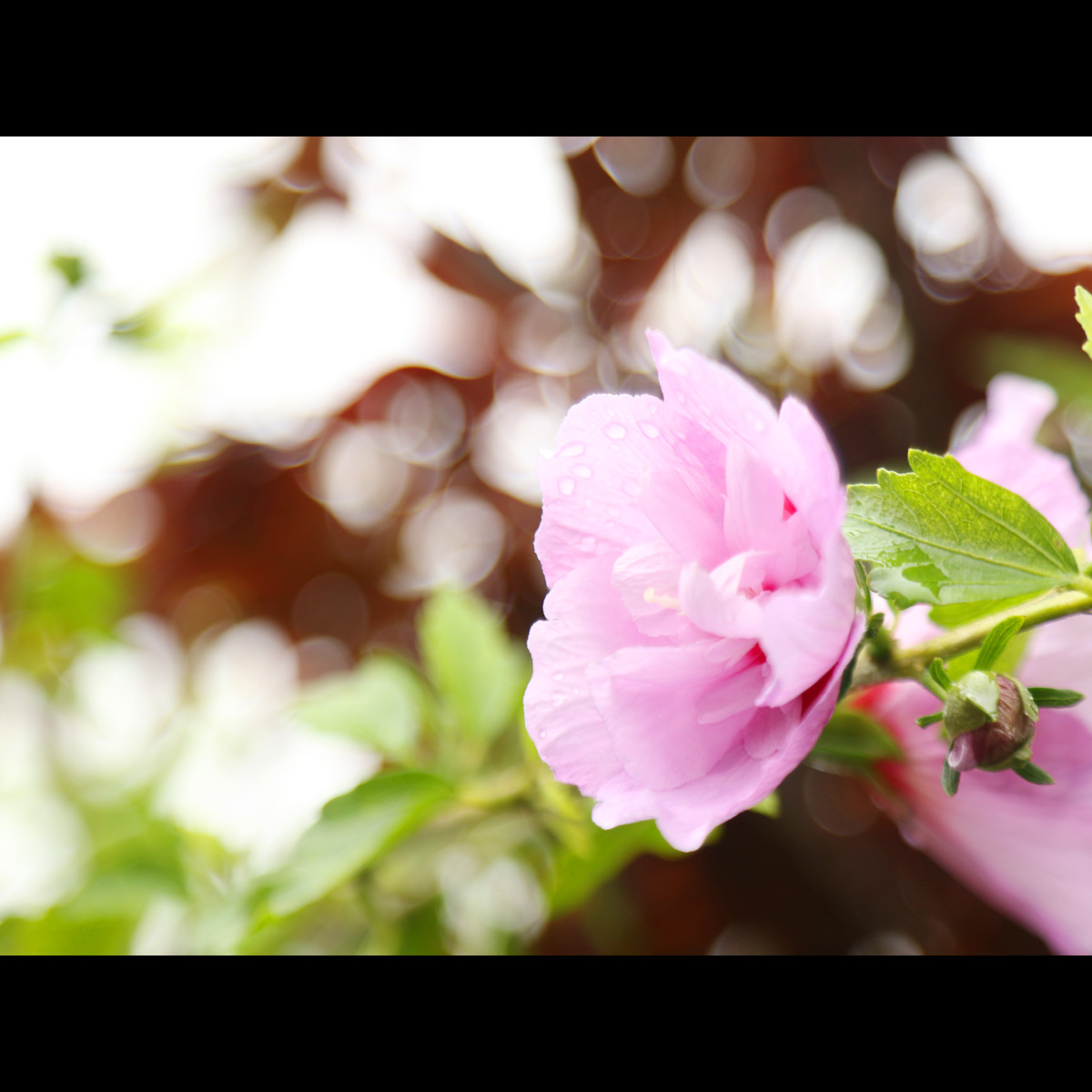 小さなホテル 花いかだ 設備 アメニティ 基本情報 楽天トラベル