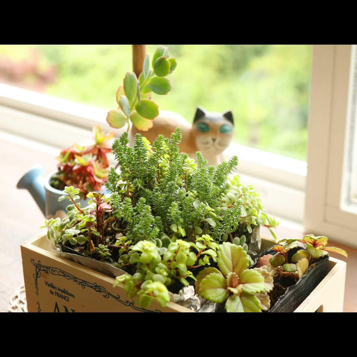 小さなホテル 花いかだ 設備 アメニティ 基本情報 楽天トラベル