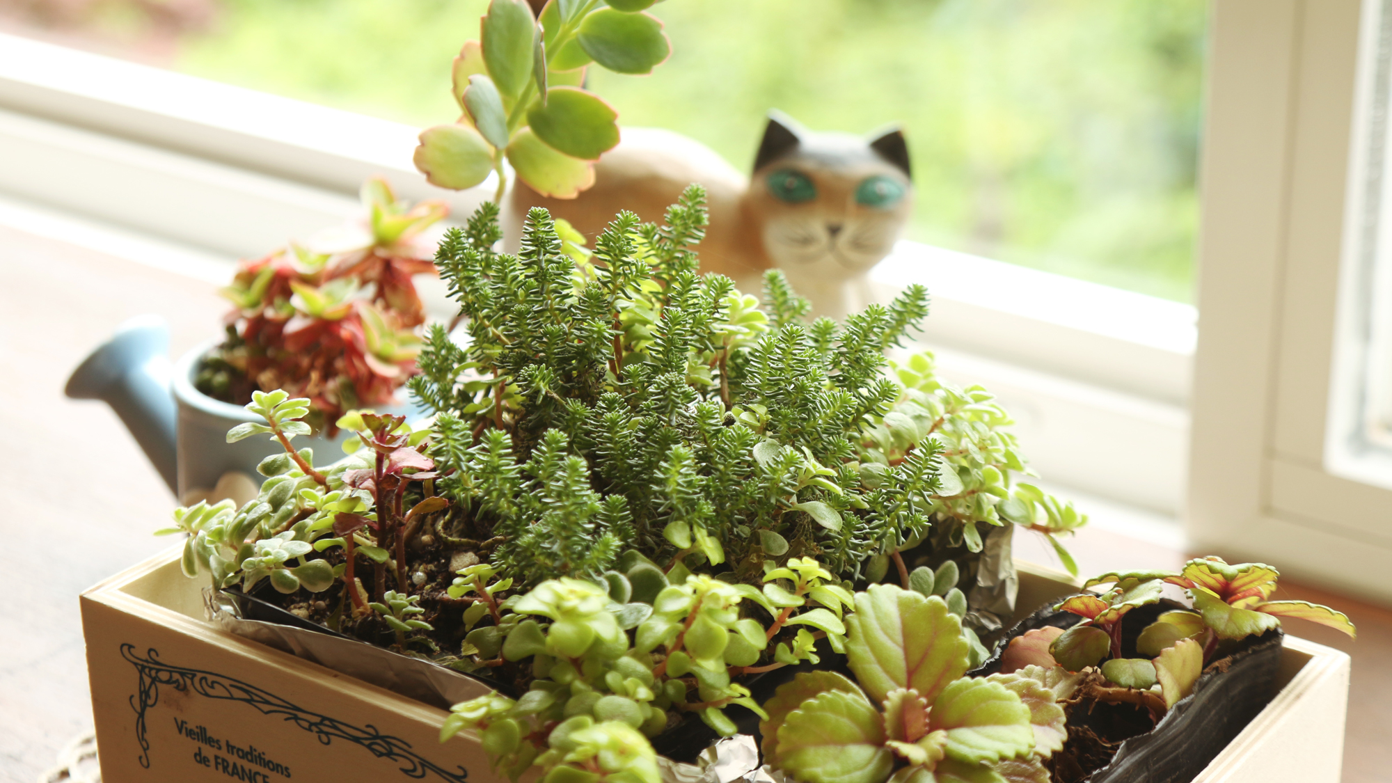 【館内】インテリア*