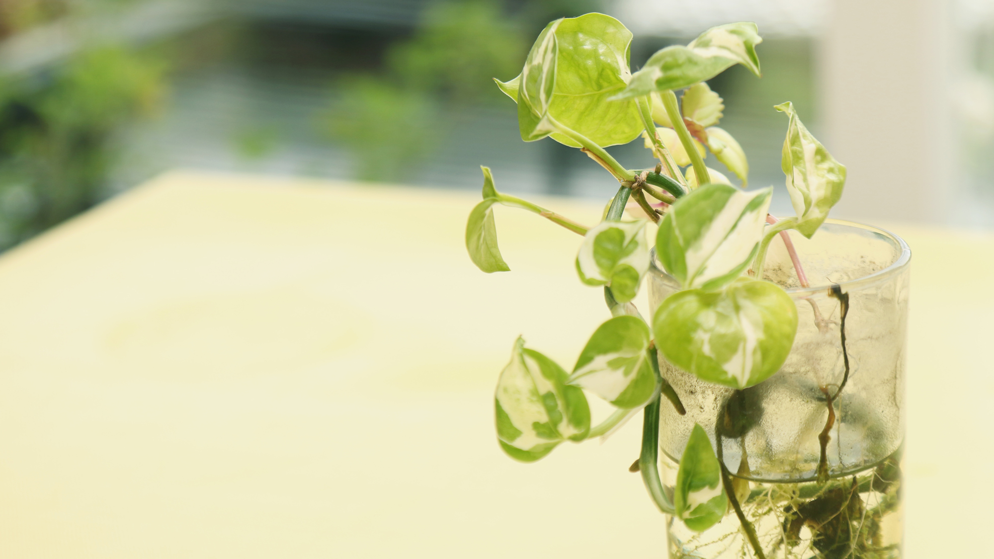 【館内】インテリア*