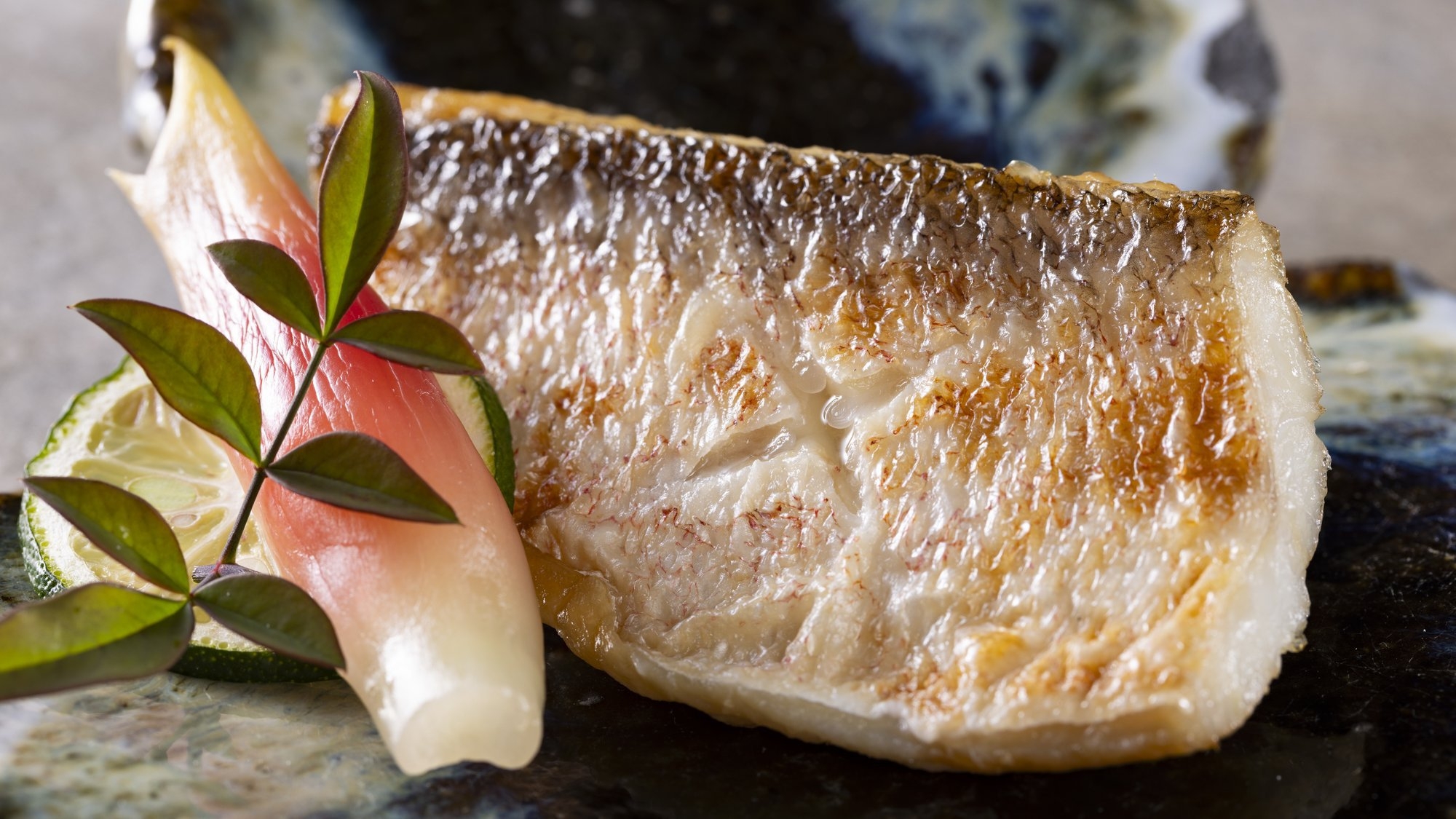 【土地の恵み会席】土佐の食材と鰹を愉しむ会席