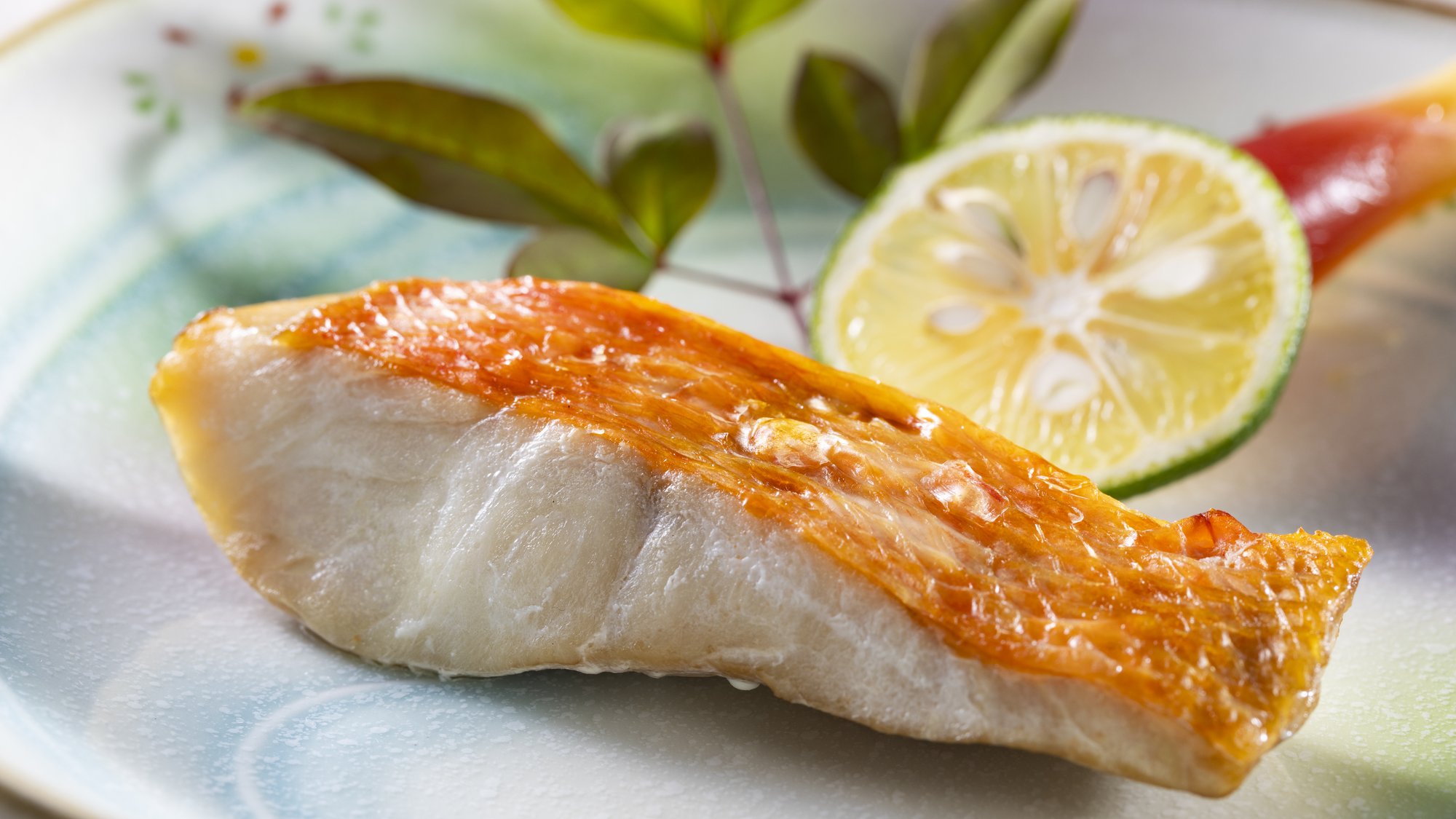 【特別会席】春（2026年3月～5月）焼物 室戸産金目鯛の幽庵焼き　仁淀川山椒を添えて