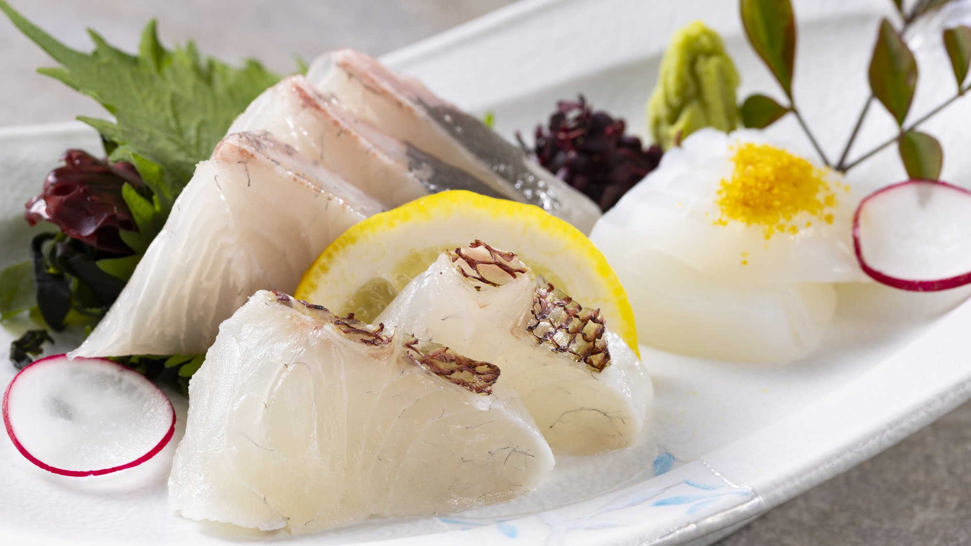 【季節の会席】春（2026年3月～5月）造里 たべつづけ鯛松皮造　間八　あおりいかからすみ天のせ