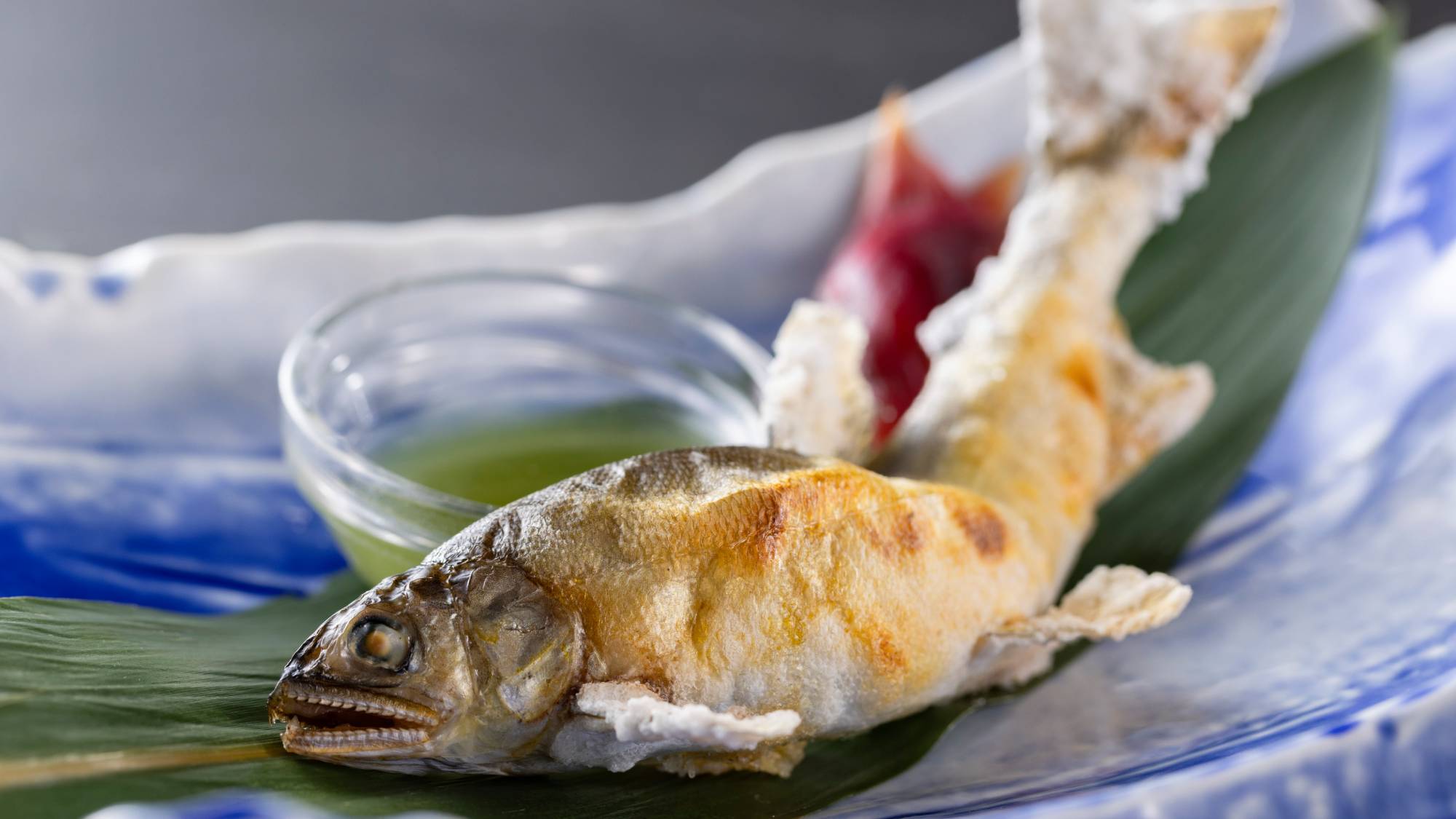 【特別会席】夏(2026年6月～8月)  