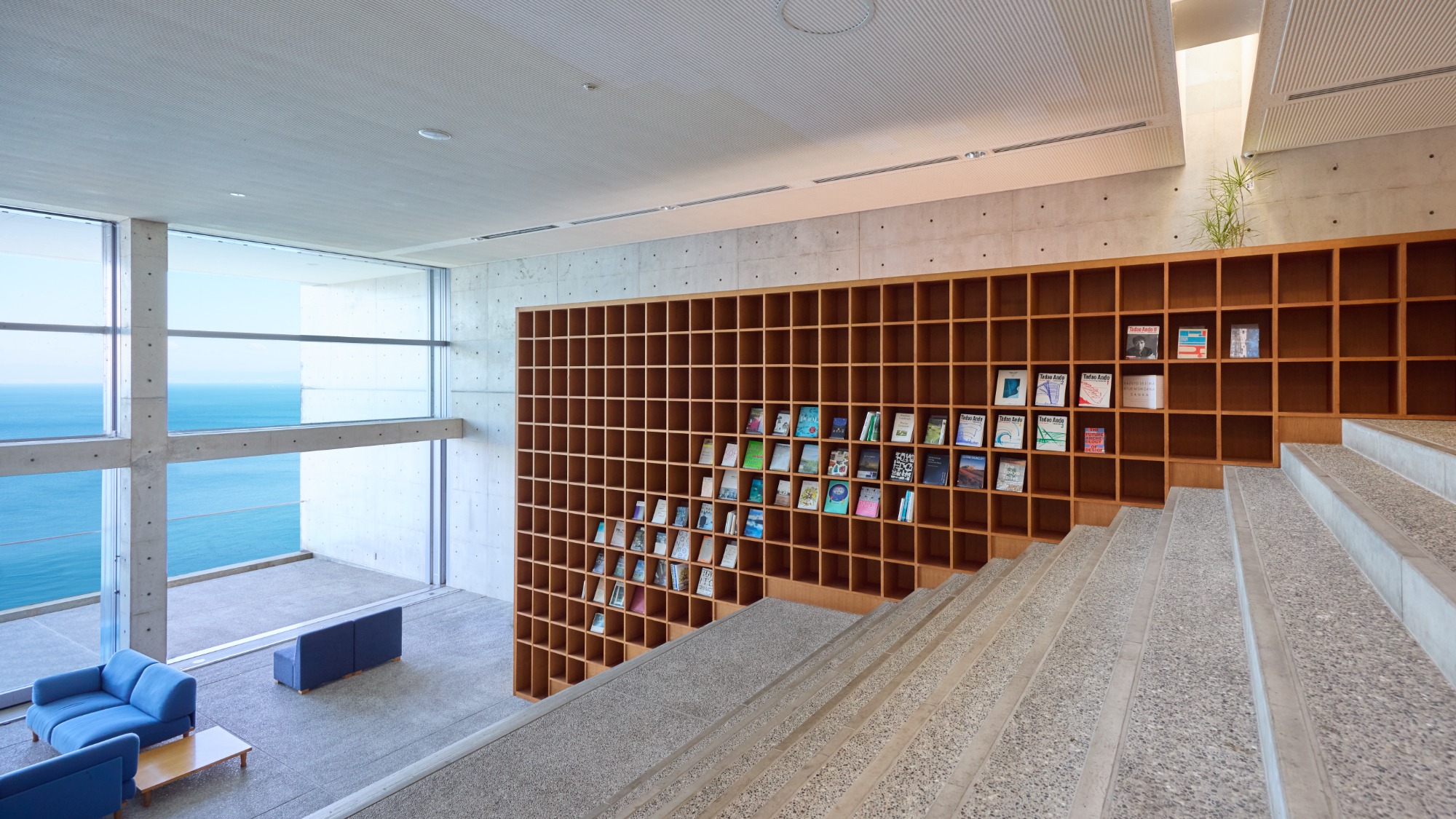 海へとつづく大きな本棚。