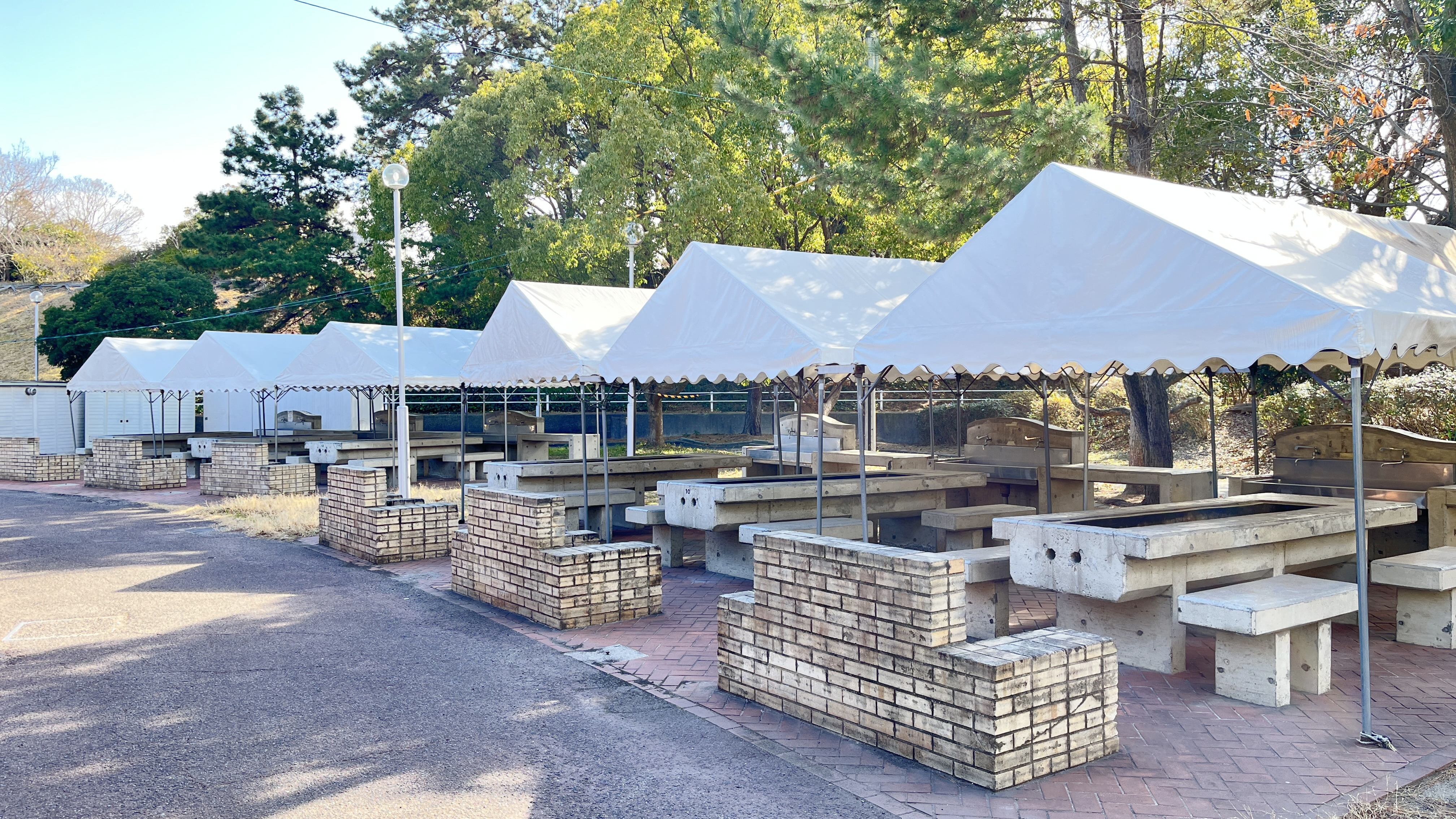 テント下サイト（全体）