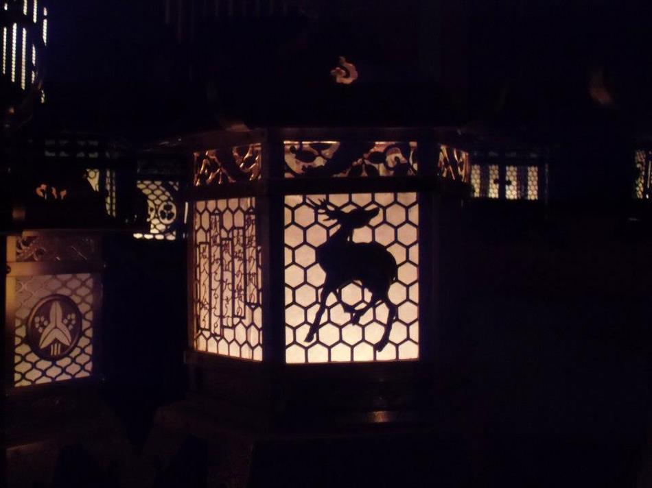 HOTEL Allamanda（ホテル アラマンダ） - 写真 296